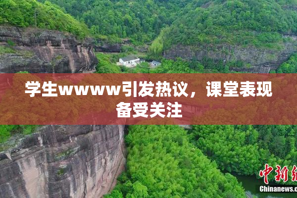 学生wwww引发热议，课堂表现备受关注