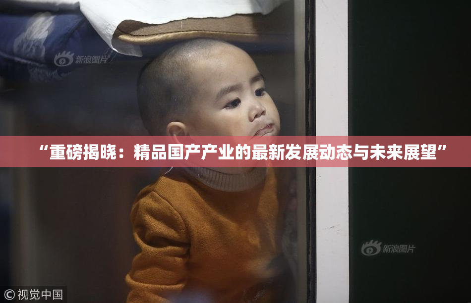 “重磅揭晓：精品国产产业的最新发展动态与未来展望”