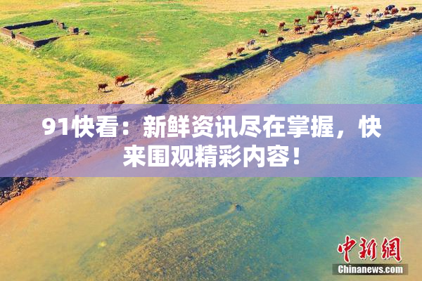 91快看：新鲜资讯尽在掌握，快来围观精彩内容！