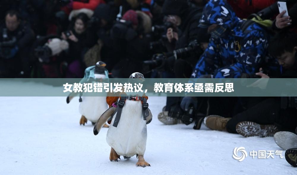 女教犯错引发热议，教育体系亟需反思