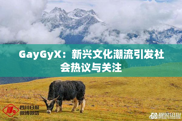 GayGyX：新兴文化潮流引发社会热议与关注