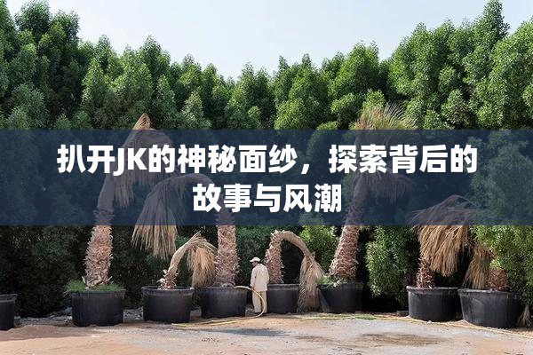 扒开JK的神秘面纱，探索背后的故事与风潮