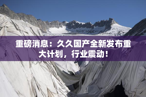 重磅消息：久久国产全新发布重大计划，行业震动！