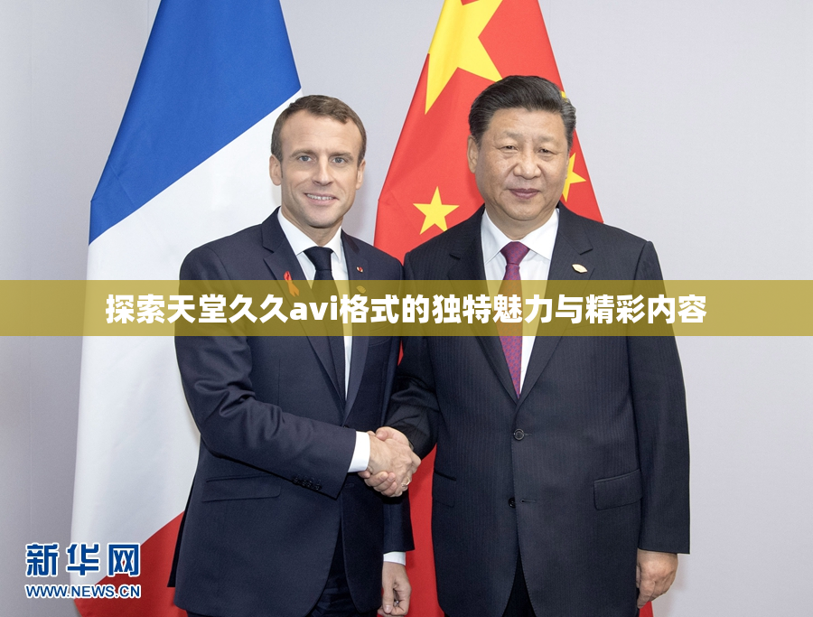 探索天堂久久avi格式的独特魅力与精彩内容