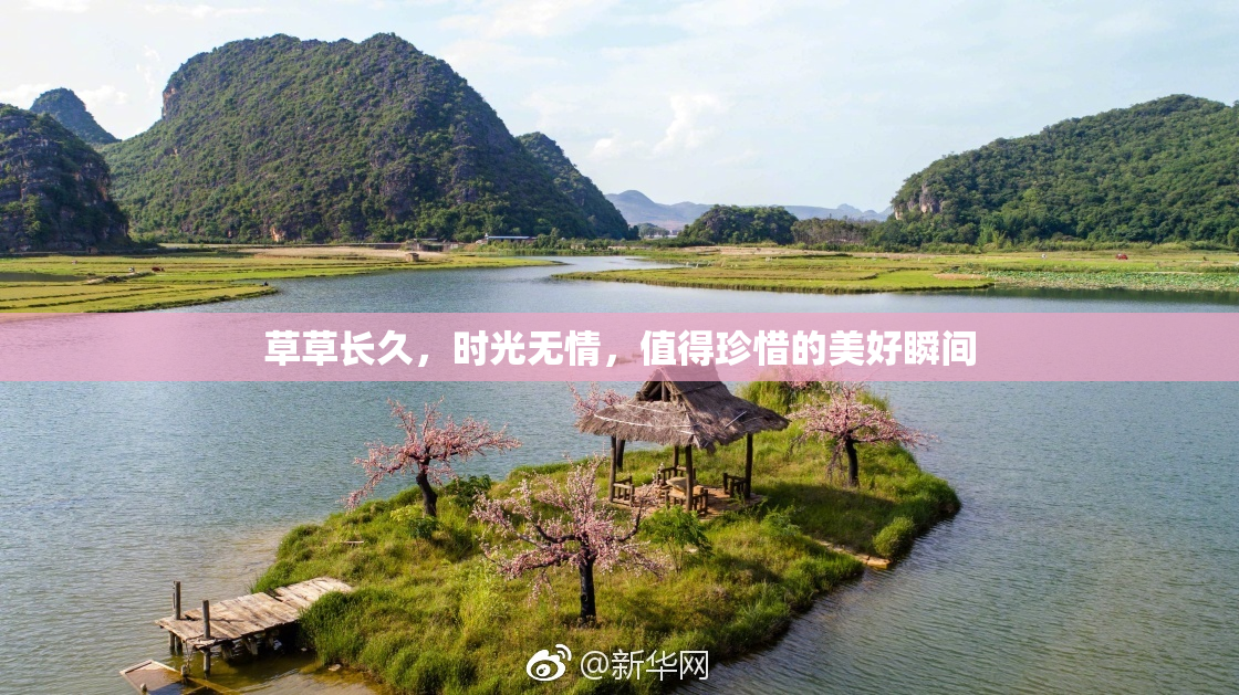 草草长久，时光无情，值得珍惜的美好瞬间