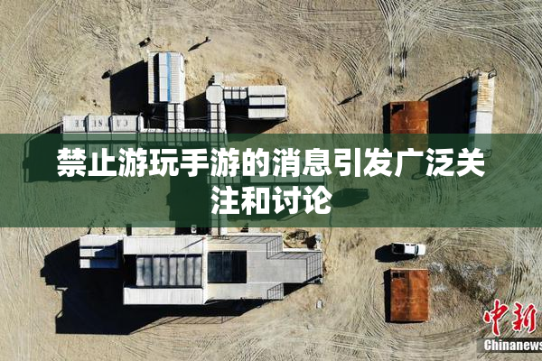 禁止游玩手游的消息引发广泛关注和讨论