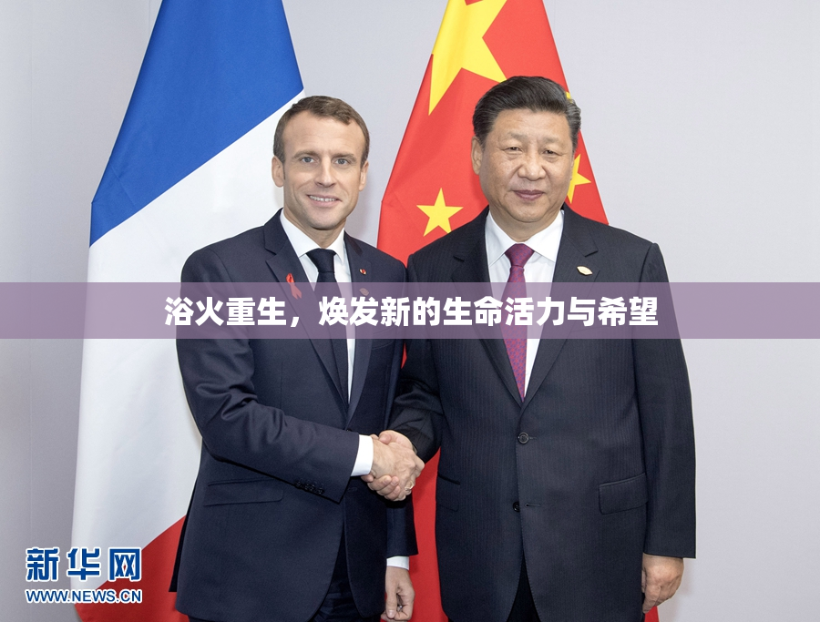 浴火重生，焕发新的生命活力与希望