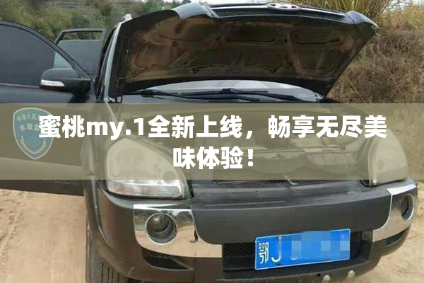 蜜桃my.1全新上线，畅享无尽美味体验！