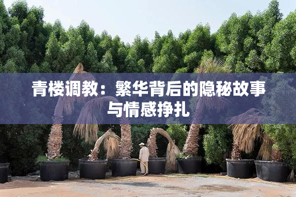 青楼调教：繁华背后的隐秘故事与情感挣扎