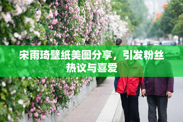 宋雨琦壁纸美图分享，引发粉丝热议与喜爱