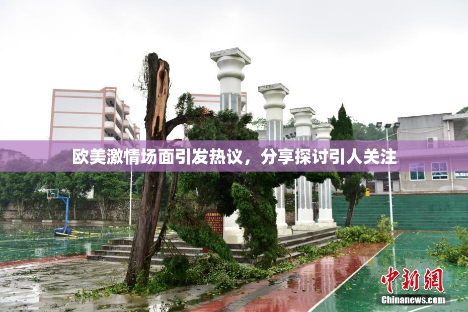 欧美激情场面引发热议，分享探讨引人关注