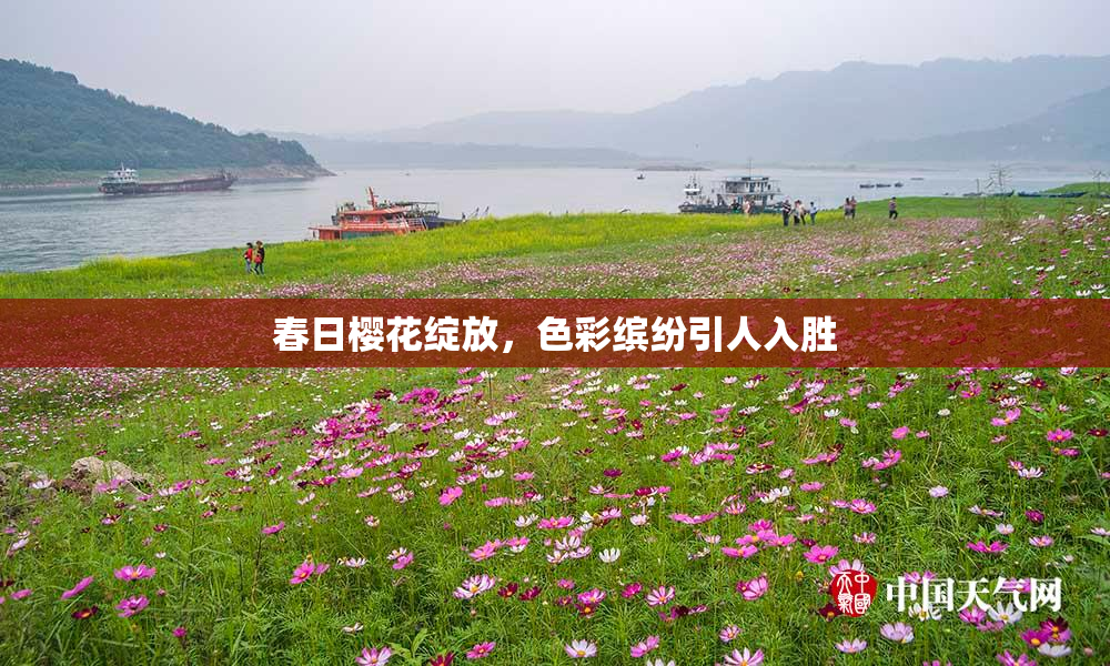 春日樱花绽放，色彩缤纷引人入胜