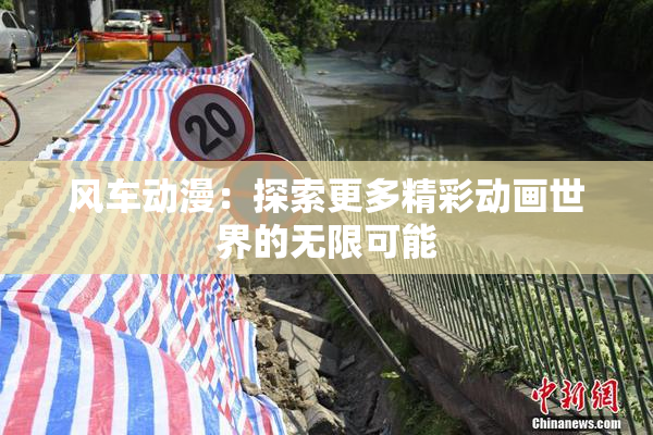 风车动漫：探索更多精彩动画世界的无限可能