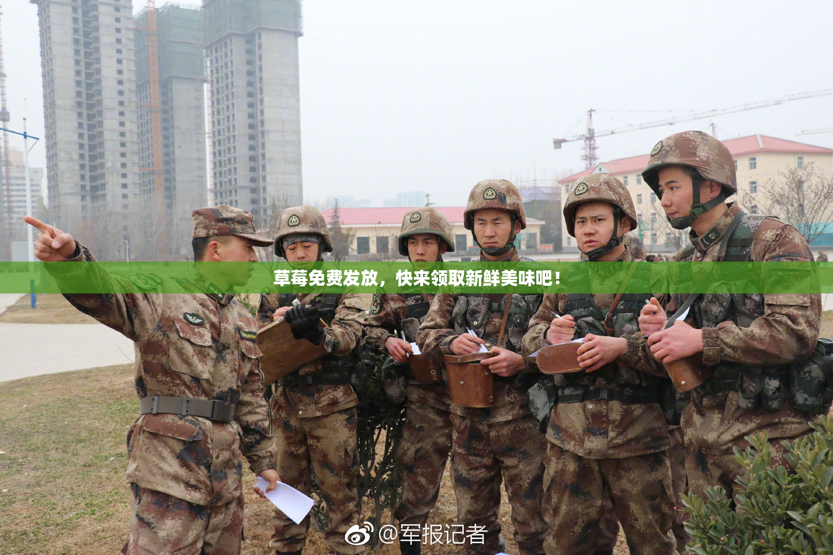 草莓免费发放，快来领取新鲜美味吧！