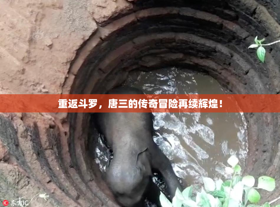 重返斗罗，唐三的传奇冒险再续辉煌！