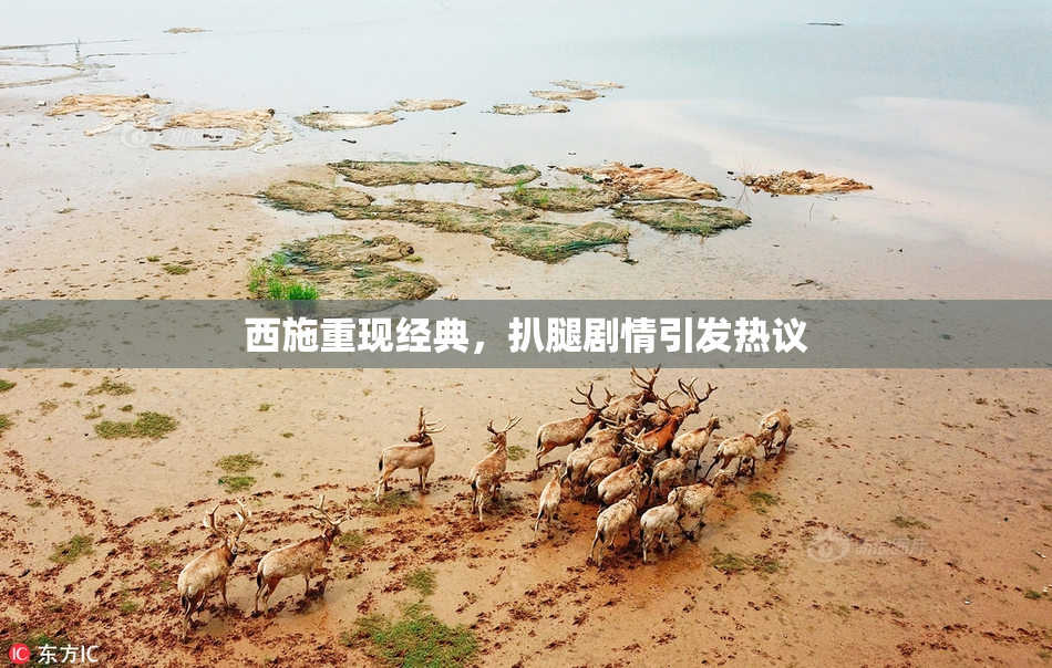 西施重现经典，扒腿剧情引发热议
