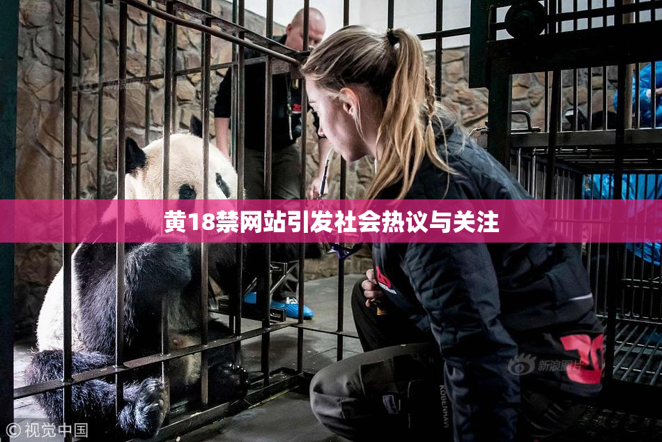 黄18禁网站引发社会热议与关注
