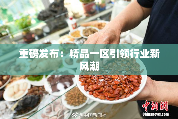 重磅发布：精品一区引领行业新风潮