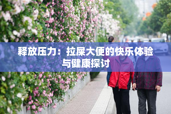 释放压力：拉屎大便的快乐体验与健康探讨