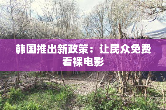 韩国推出新政策：让民众免费看裸电影