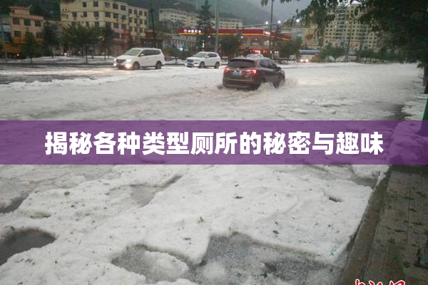 揭秘各种类型厕所的秘密与趣味
