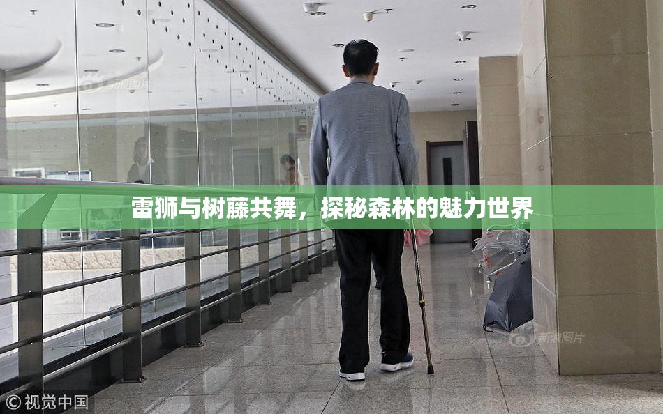 雷狮与树藤共舞，探秘森林的魅力世界