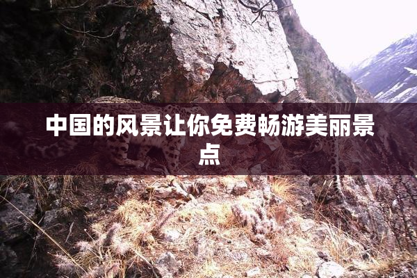 中国的风景让你免费畅游美丽景点