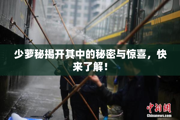 少萝秘揭开其中的秘密与惊喜，快来了解！