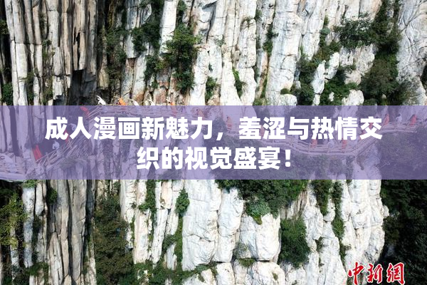 成人漫画新魅力，羞涩与热情交织的视觉盛宴！