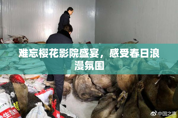 难忘樱花影院盛宴，感受春日浪漫氛围