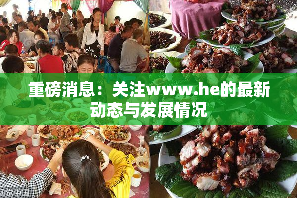 重磅消息：关注www.he的最新动态与发展情况
