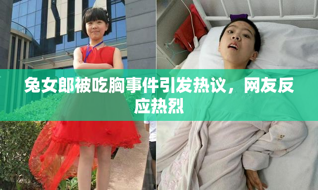 兔女郎被吃胸事件引发热议，网友反应热烈
