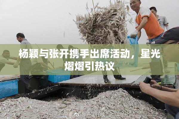 杨颖与张开携手出席活动，星光熠熠引热议