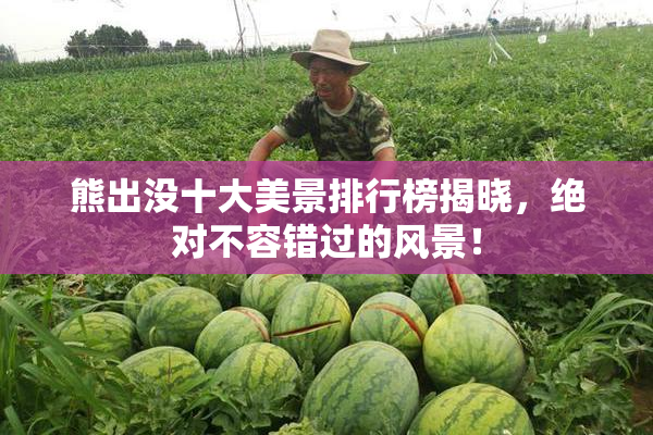 熊出没十大美景排行榜揭晓，绝对不容错过的风景！