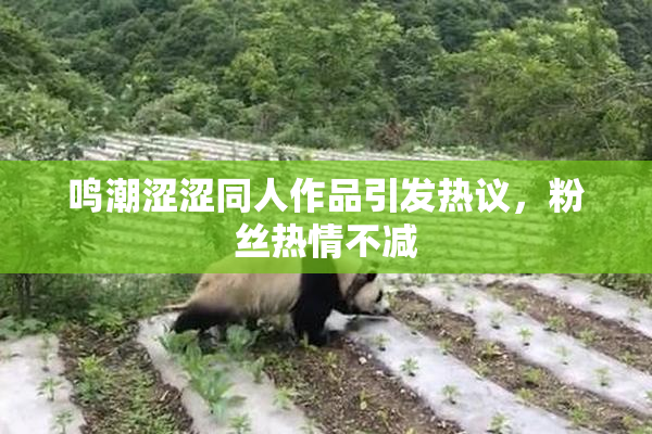 鸣潮涩涩同人作品引发热议，粉丝热情不减