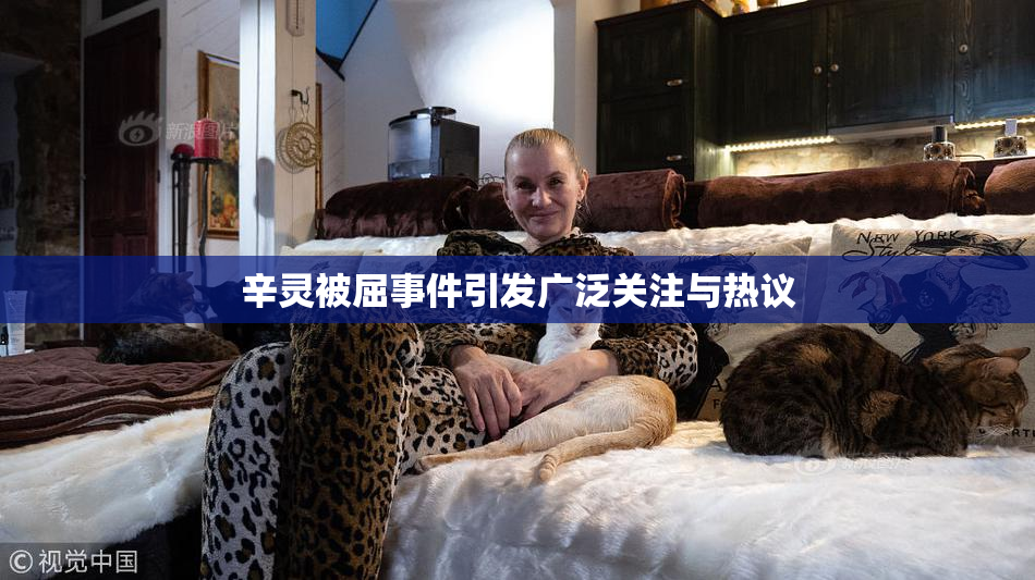 辛灵被屈事件引发广泛关注与热议