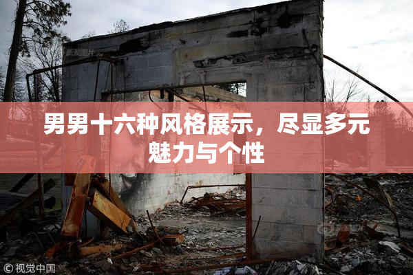 男男十六种风格展示，尽显多元魅力与个性
