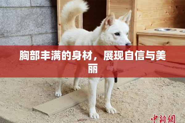 胸部丰满的身材，展现自信与美丽