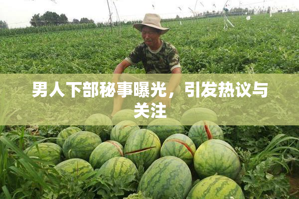 男人下部秘事曝光，引发热议与关注