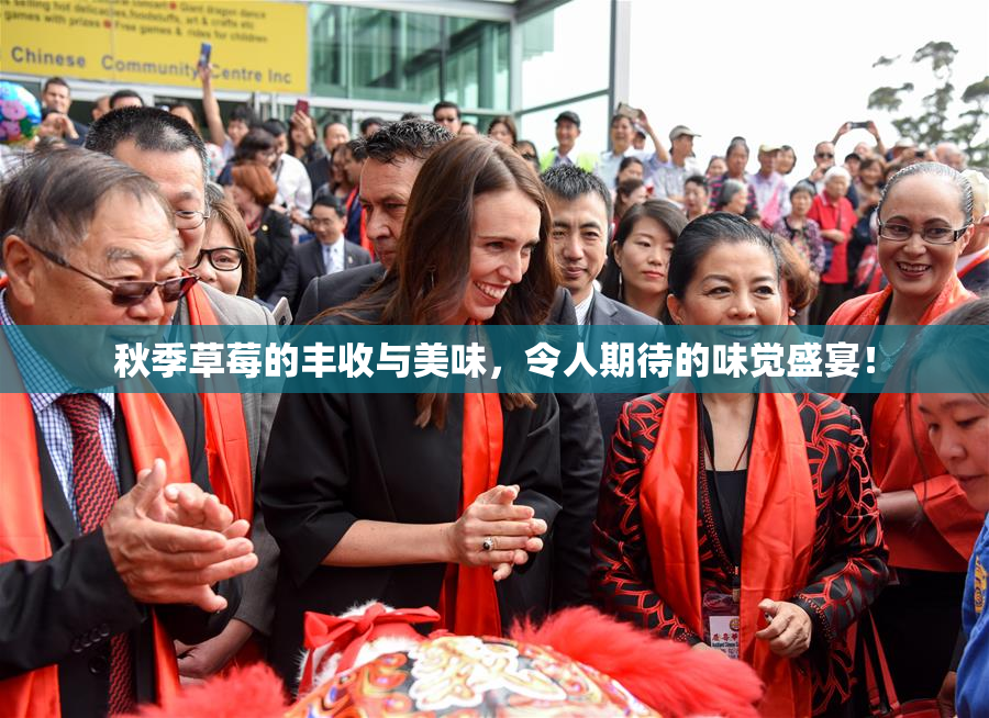 秋季草莓的丰收与美味，令人期待的味觉盛宴！