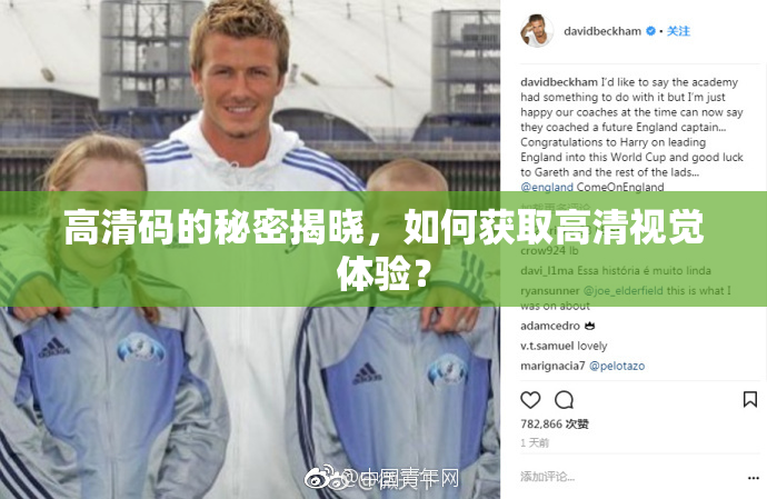 高清码的秘密揭晓，如何获取高清视觉体验？