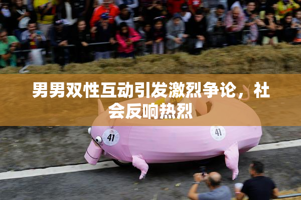 男男双性互动引发激烈争论，社会反响热烈