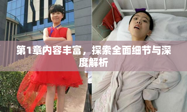 第1章内容丰富，探索全面细节与深度解析