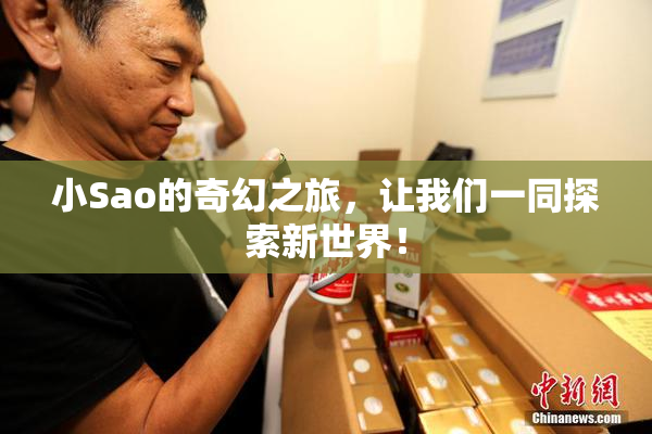 小Sao的奇幻之旅，让我们一同探索新世界！