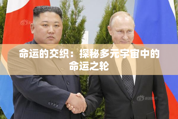 命运的交织：探秘多元宇宙中的命运之轮