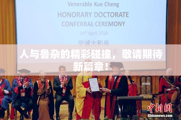 人与鲁杂的精彩碰撞，敬请期待新篇章！