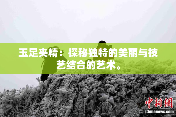 玉足夹精：探秘独特的美丽与技艺结合的艺术。