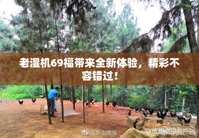 老湿机69福带来全新体验，精彩不容错过！