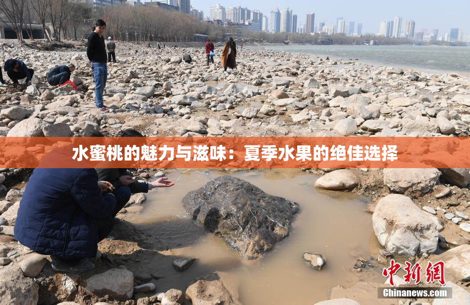 水蜜桃的魅力与滋味：夏季水果的绝佳选择