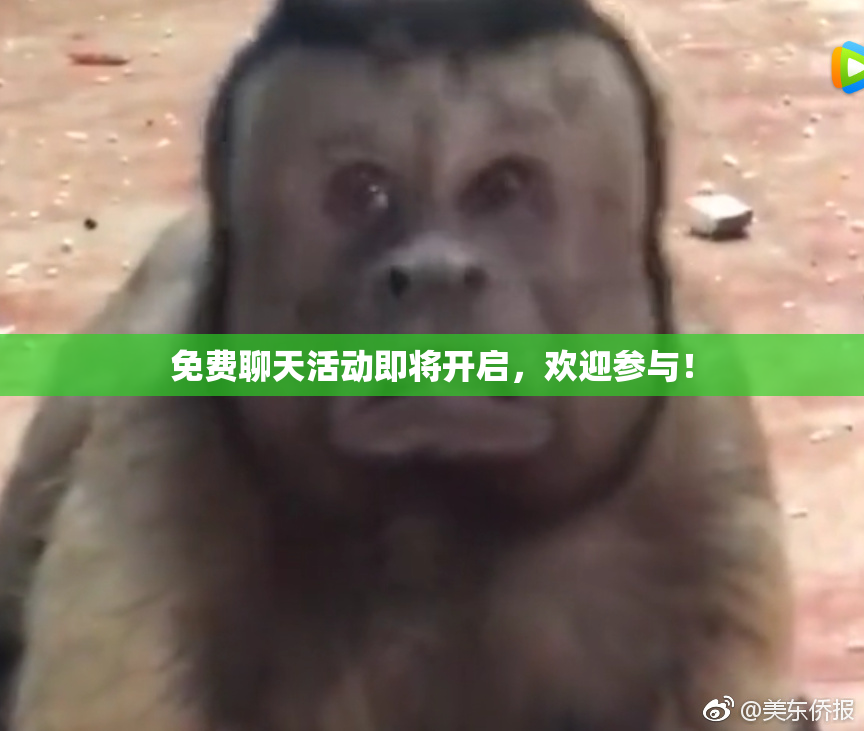 免费聊天活动即将开启，欢迎参与！